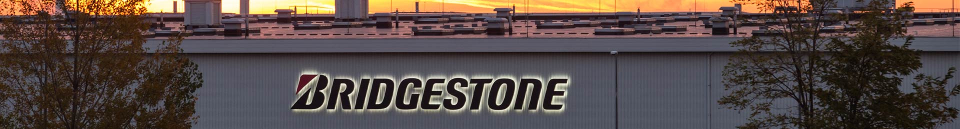 Bridgestone Tatabánya | Rólunk